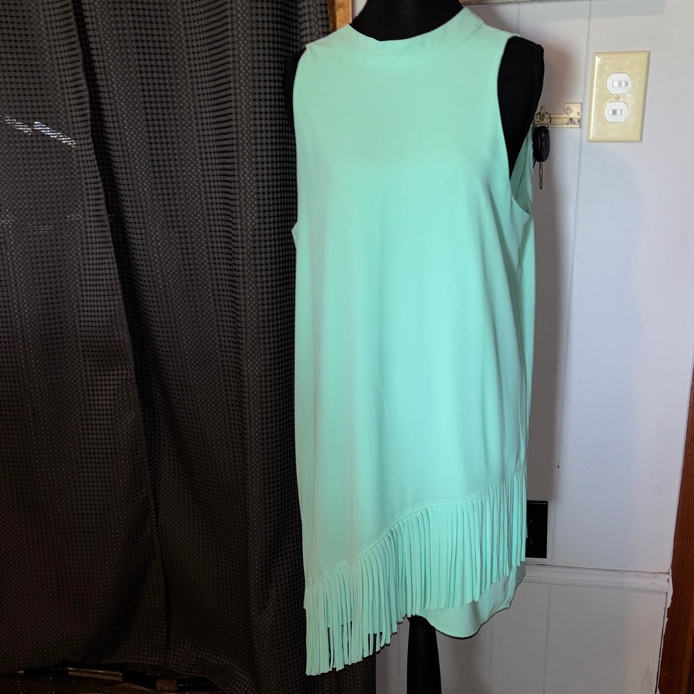 Naked Zebra Mint Sleeveless Fringe Hem Mini Dress